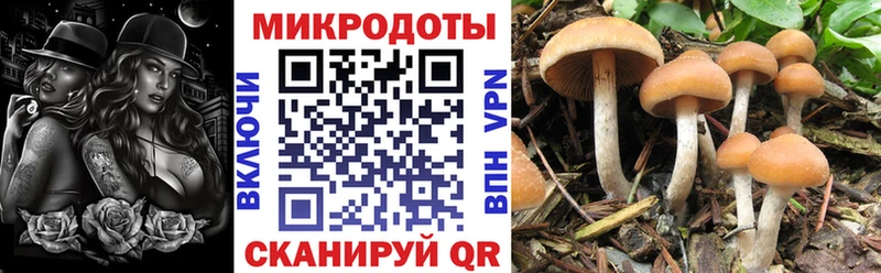 закладка  Междуреченск  Галлюциногенные грибы ЛСД 