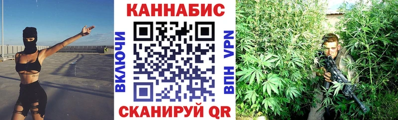 Шишки марихуана сатива  OMG сайт  Междуреченск  купить наркоту 